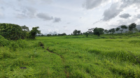 Residential Plot for Sale in Pali, Raigad
