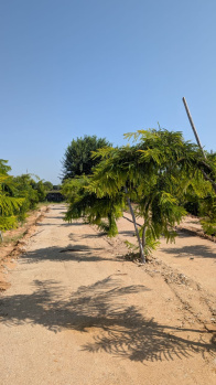  Residential Plot for Sale in Kalwar Road, Jaipur
