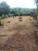 Residential Plot for Sale in Kuwarbav, Ratnagiri
