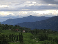 7 BHK Flat for Rent in Rangli Rangliot, Darjeeling