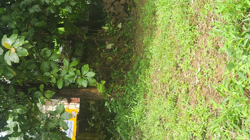 Ettumanoor, Kottayam photo 4