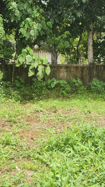 Ettumanoor, Kottayam photo 5