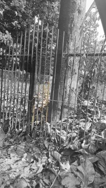 Ettumanoor, Kottayam photo 3