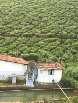  Residential Plot for Sale in Coonoor, Nilgiris
