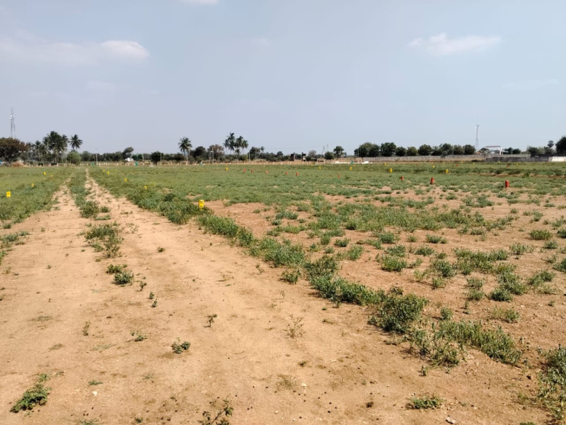  2180 Sq.ft. Residential Plot for Sale in Lalgudi, Tiruchirappalli