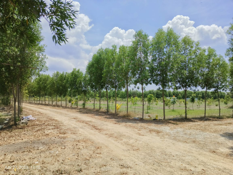  9600 Sq.ft. Agricultural/Farm Land for Sale in Maduranthakam, Chengalpattu