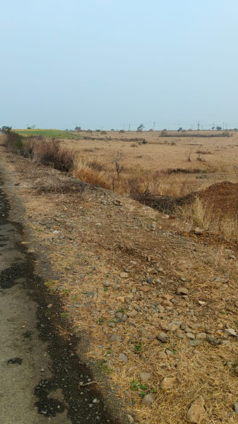 3 BHK 10000 Sq.ft. Farm House for Sale in AB Road, Shajapur