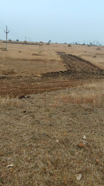 3 BHK 10000 Sq.ft. Farm House for Sale in AB Road, Shajapur