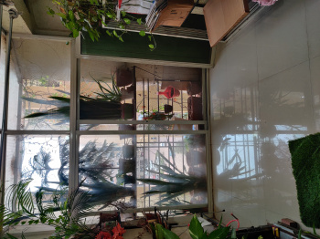 1.5 BHK Flat for Sale in Wagholi, Pune