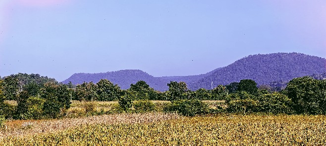  71600 Sq.ft. Agricultural/Farm Land for Sale in Simrol, Indore