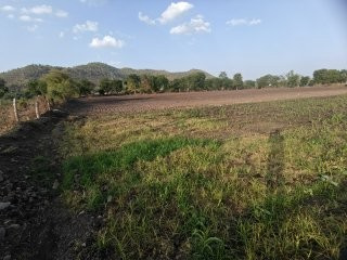  71600 Sq.ft. Agricultural/Farm Land for Sale in Simrol, Indore
