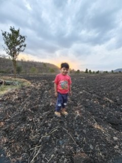  71600 Sq.ft. Agricultural/Farm Land for Sale in Simrol, Indore