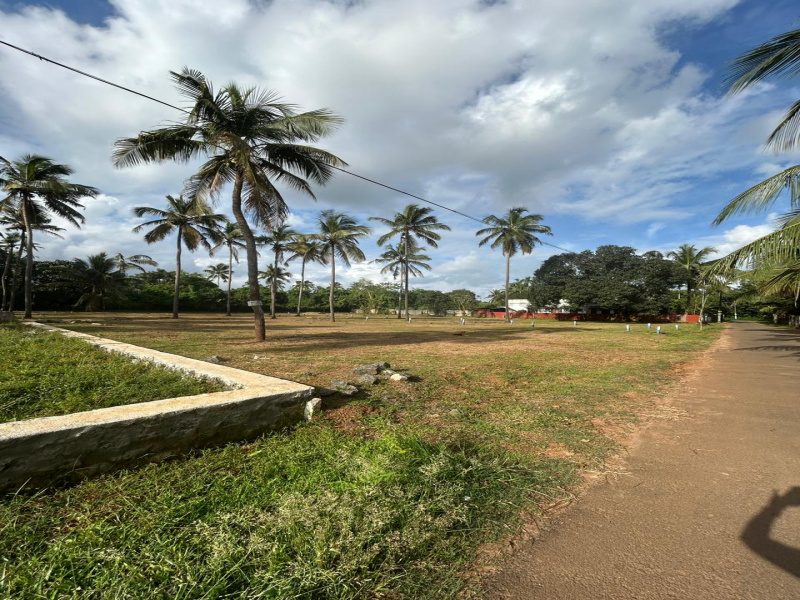  10 Cent Residential Plot for Sale in Mundupalam, Thrissur