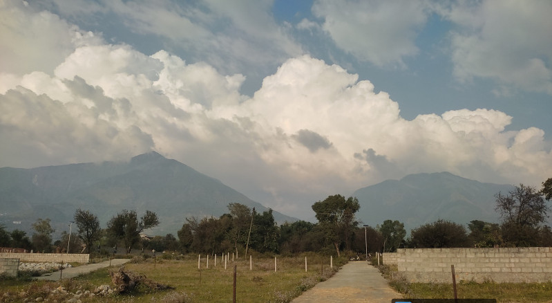 20 Marla Residential Plot for Sale in Yol Cantt, Dharamsala