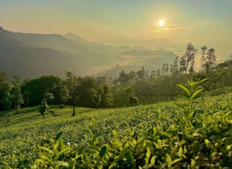 5200 Sq.ft. Guest House for Sale in Vandiperiyar, Idukki