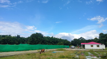 Residential Plot for Sale in Shiv Mandir, Siliguri