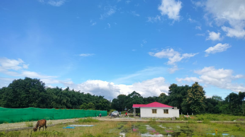  1820 Sq.ft. Residential Plot for Sale in Shiv Mandir, Siliguri