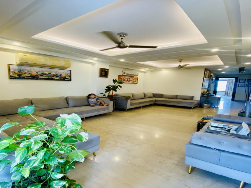 3.5 BHK 1690 Sq.ft. Builder Floor for Sale in Sector 56 Gurgaon