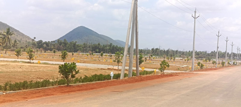 Thatipudi, Vizianagaram photo 4