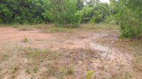  Residential Plot for Sale in Mulki, Mangalore