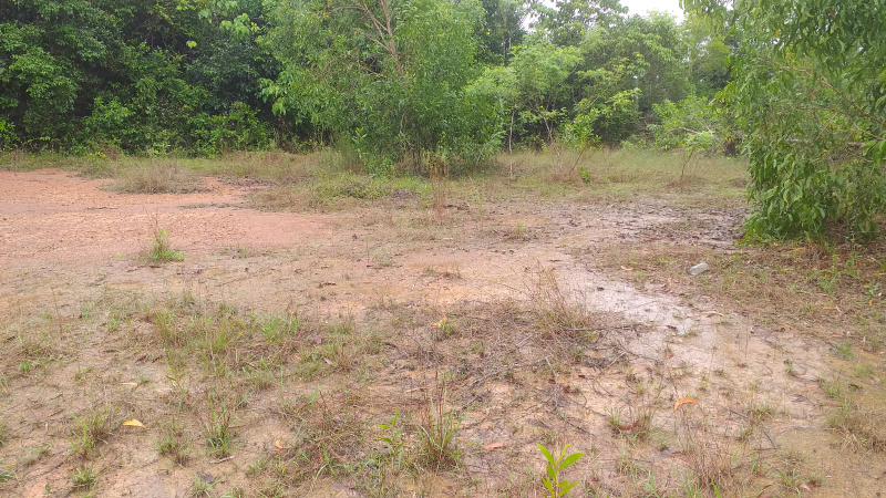  69 Cent Residential Plot for Sale in Mulki, Mangalore