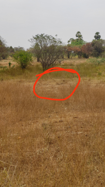 2380 Sq.ft. Residential Plot for Sale in Eranapuram, Namakkal