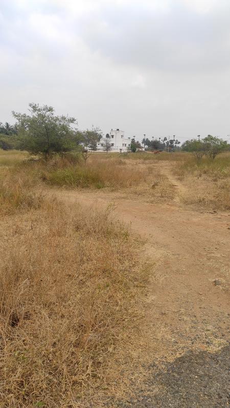 2380 Sq.ft. Residential Plot for Sale in Eranapuram, Namakkal