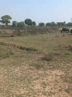  Residential Plot for Sale in Jaipur Road, Dausa