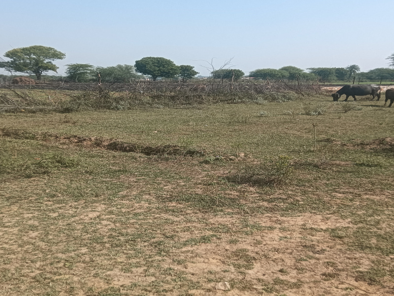  400 Sq.ft. Residential Plot for Sale in Jaipur Road, Dausa