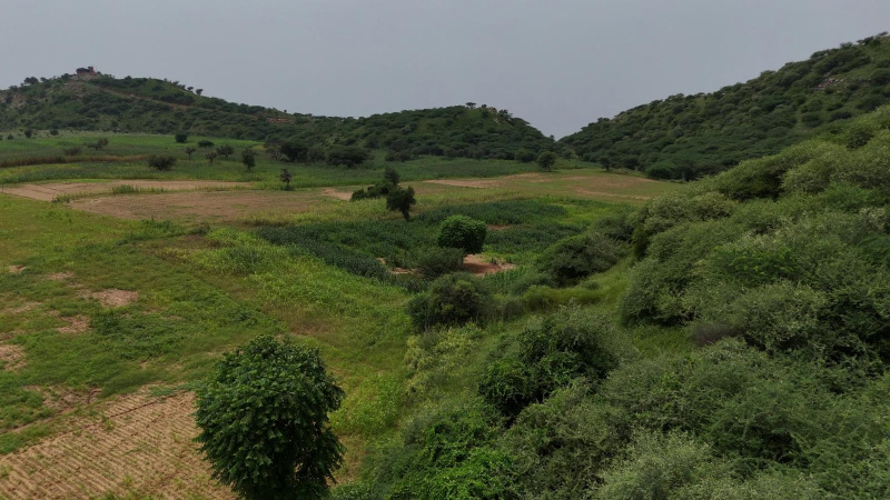  2420 Sq.ft. Agricultural/Farm Land for Sale in Akoda, Mahendragarh
