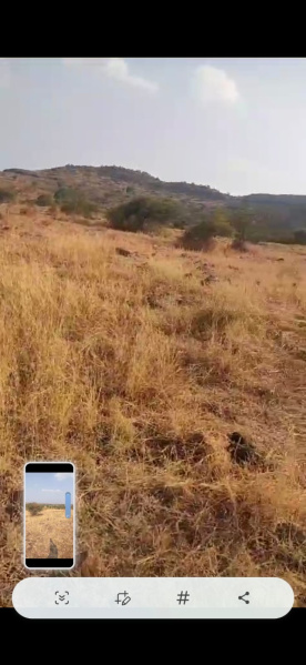 40 Acre Agricultural/Farm Land for Sale in Jejuri MIDC, Pune