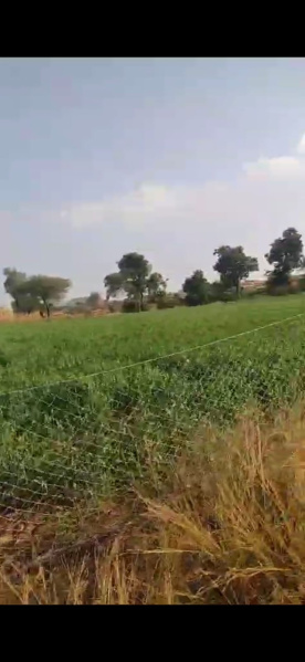 40 Acre Agricultural/Farm Land for Sale in Jejuri MIDC, Pune