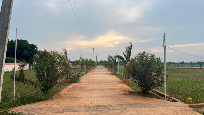  1800 Sq.ft. Residential Plot for Sale in Thogaimalai, Karur