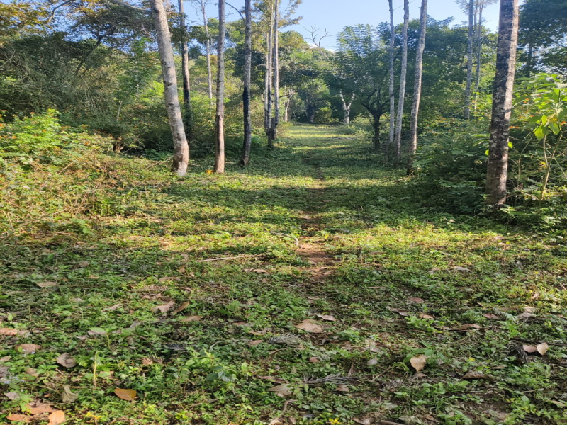  4800 Sq.ft. Residential Plot for Sale in Perumal Malai, Kodaikanal