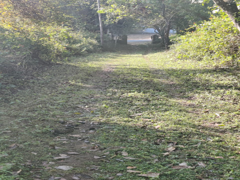  4800 Sq.ft. Residential Plot for Sale in Perumal Malai, Kodaikanal