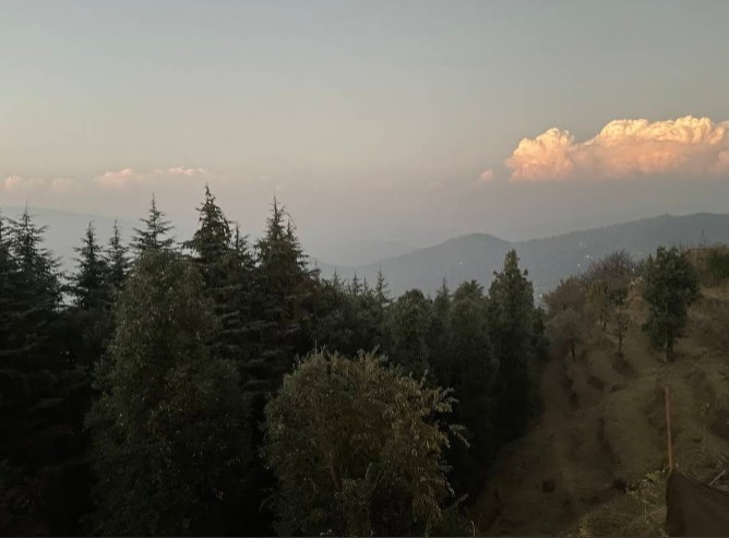 10500 Sq.ft. Residential Plot for Sale in Amghari, Nainital