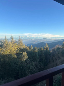 10500 Sq.ft. Residential Plot for Sale in Amghari, Nainital