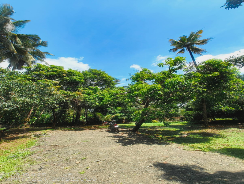 40 Cent Residential Plot for Sale in Mannuthy, Thrissur