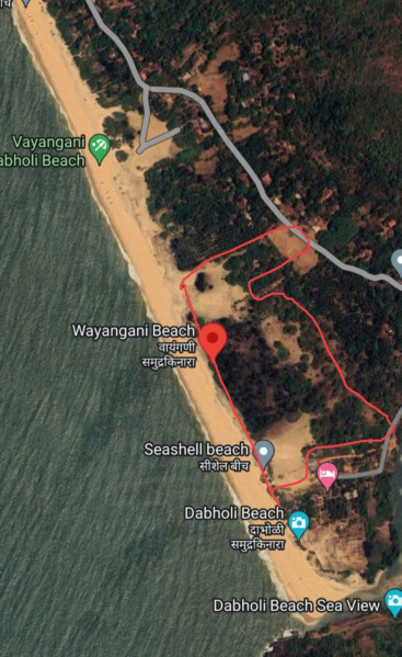  34 Acre Agricultural/Farm Land for Sale in Vengurla, Sindhudurg