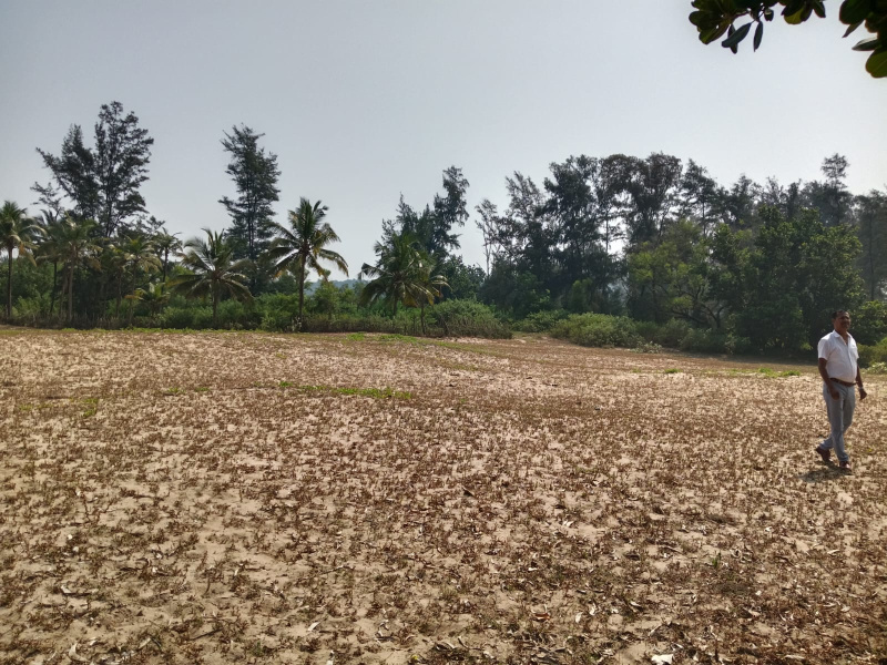  300000 Acre Agricultural/Farm Land for Sale in Colva, South Goa, 
