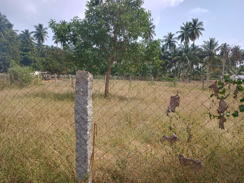 4800 Sq.ft. Residential Plot for Sale in Velur, Namakkal