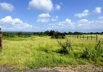  Residential Plot for Sale in Shahapur, Thane