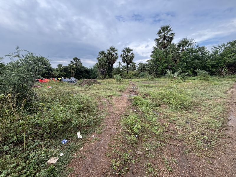  55 Guntha Residential Plot for Sale in Mahim Road, Palghar