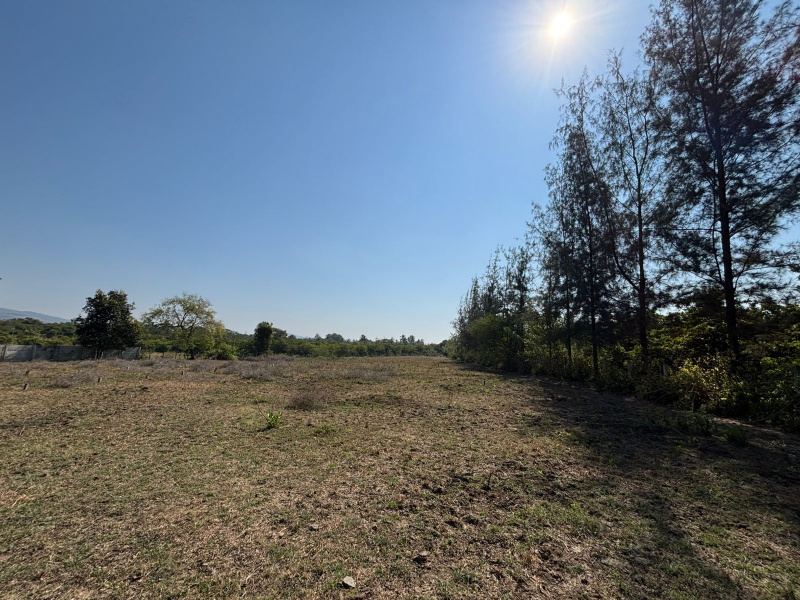  11 Guntha Agricultural/Farm Land for Sale in Dahanu, Palghar