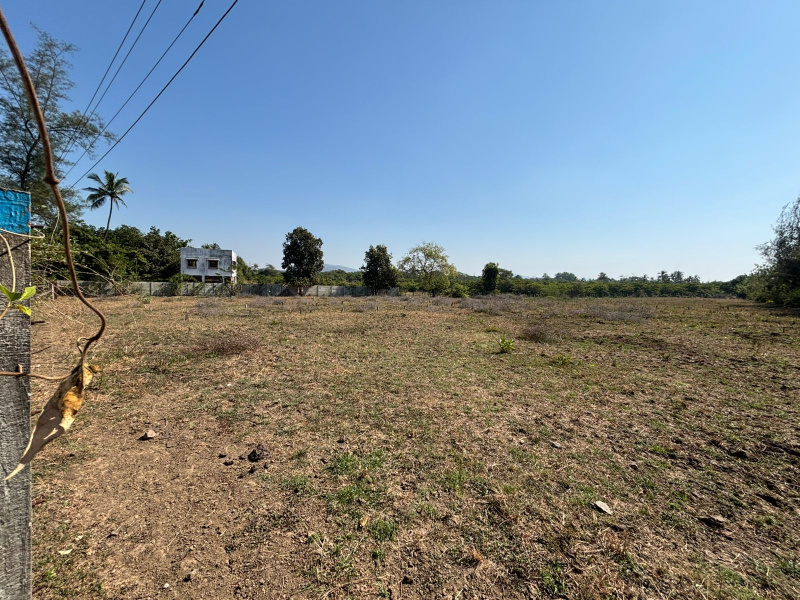  11 Guntha Agricultural/Farm Land for Sale in Dahanu, Palghar