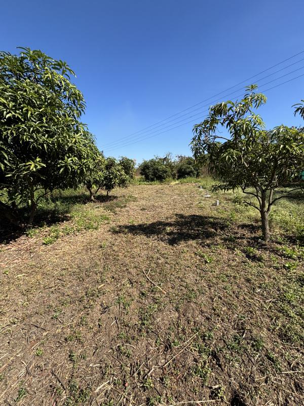  11 Guntha Residential Plot for Sale in Kelwa, Palghar