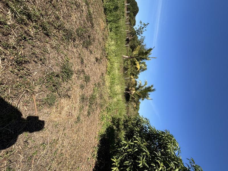  11 Guntha Residential Plot for Sale in Kelwa, Palghar