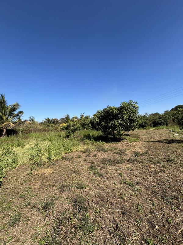  11 Guntha Residential Plot for Sale in Kelwa, Palghar