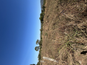  Residential Plot for Sale in Kelwa, Palghar