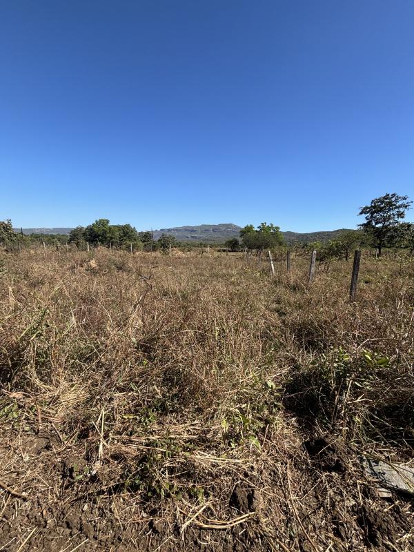  3 Guntha Residential Plot for Sale in Kelwa, Palghar